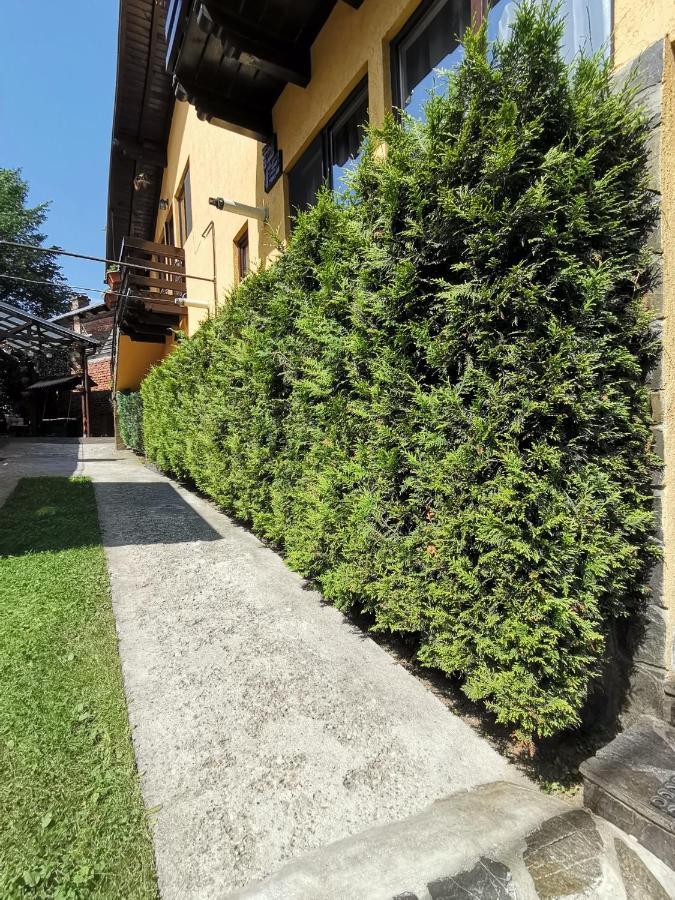 Shelby Accommodation -Adult Only- Sinaia Eksteriør bilde