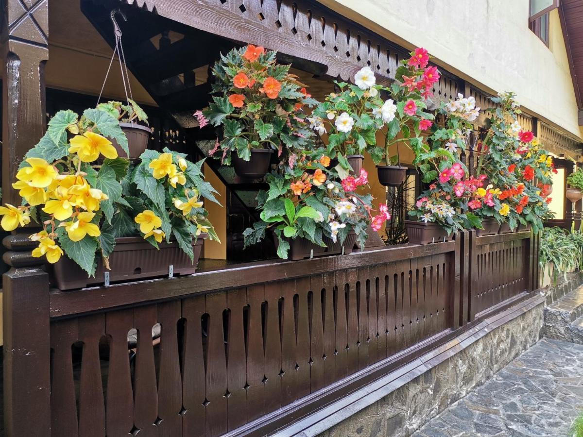 Shelby Accommodation -Adult Only- Sinaia Eksteriør bilde