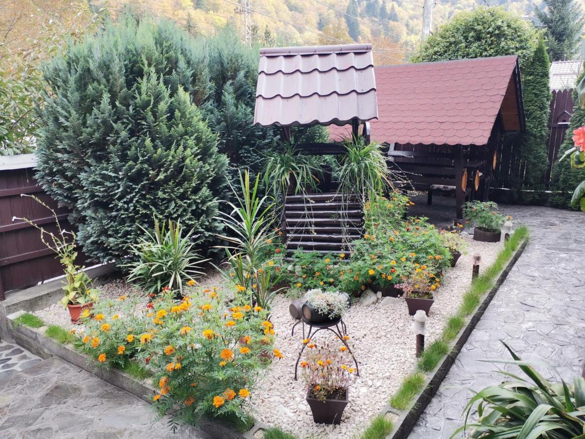 Shelby Accommodation -Adult Only- Sinaia Eksteriør bilde