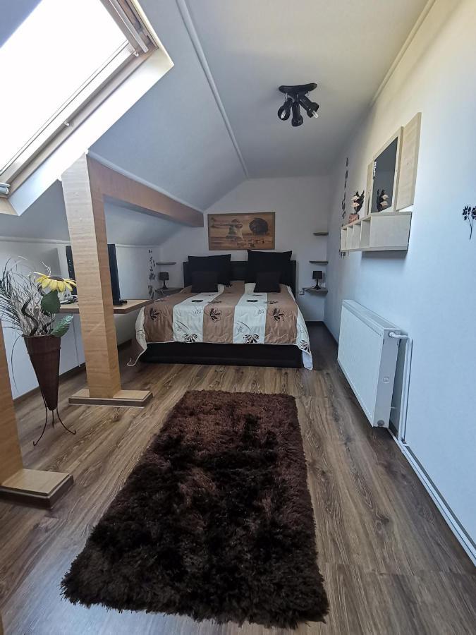 Shelby Accommodation -Adult Only- Sinaia Rom bilde
