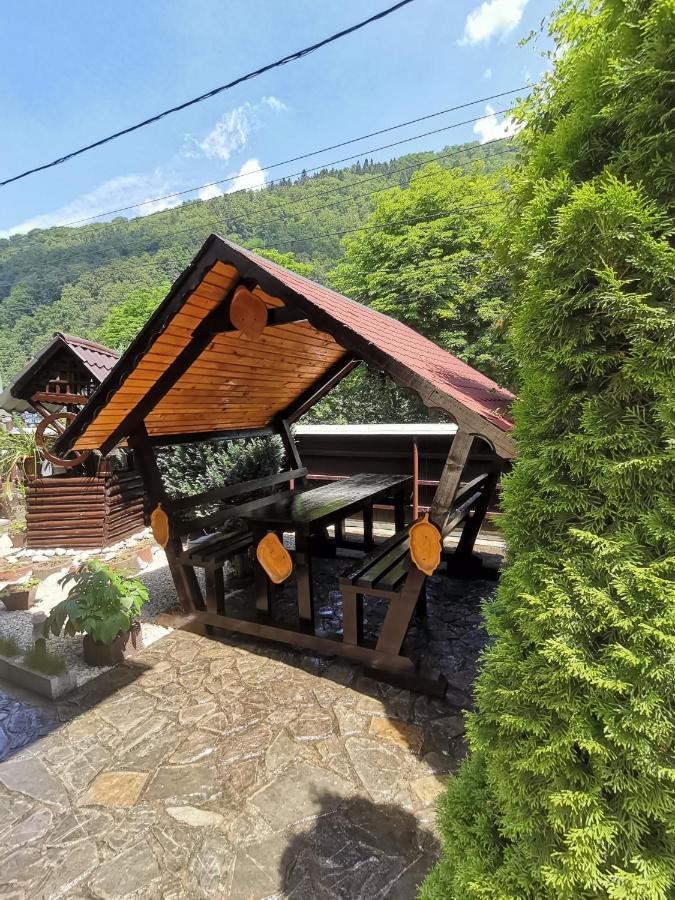 Shelby Accommodation -Adult Only- Sinaia Eksteriør bilde